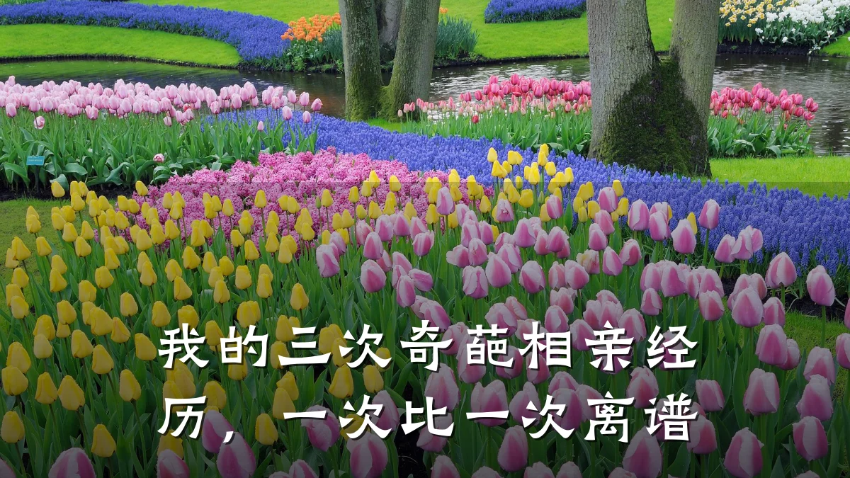 我的三次奇葩相亲经历,一次比一次离谱