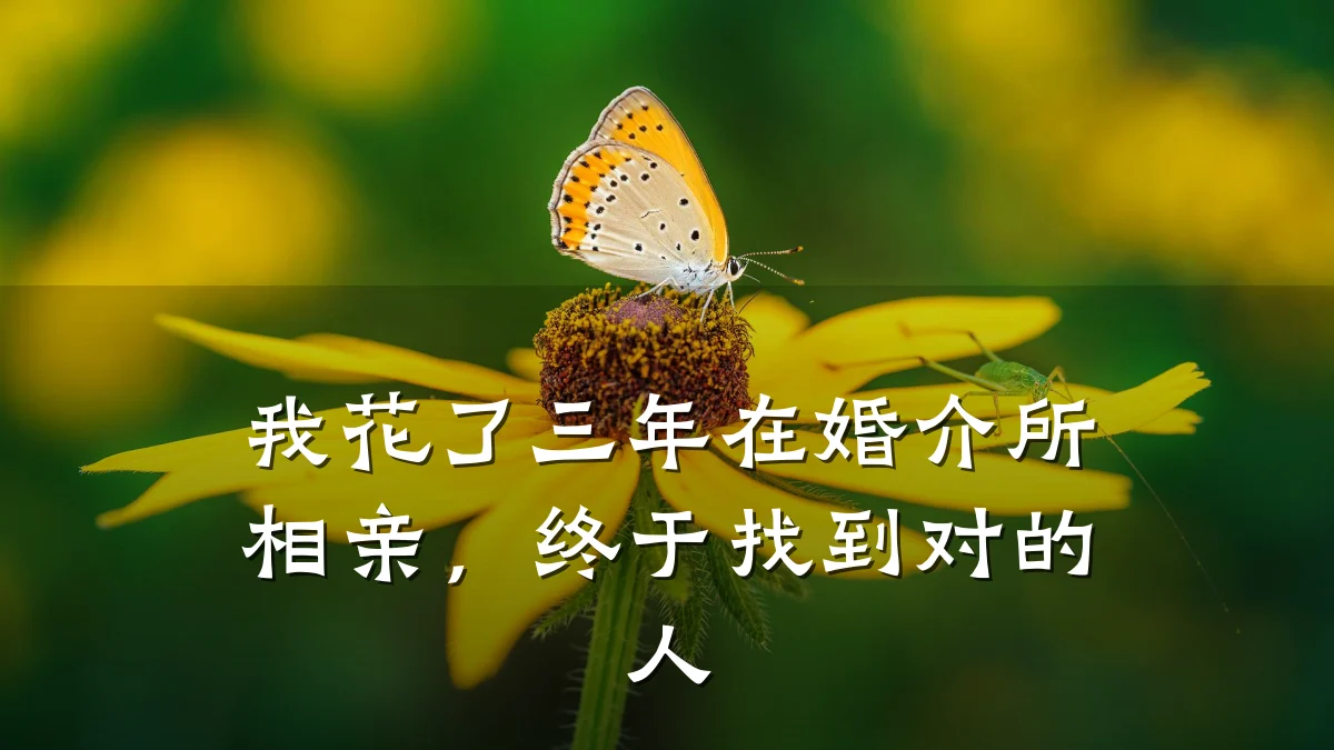 我花了三年在婚介所相亲,终于找到对的人
