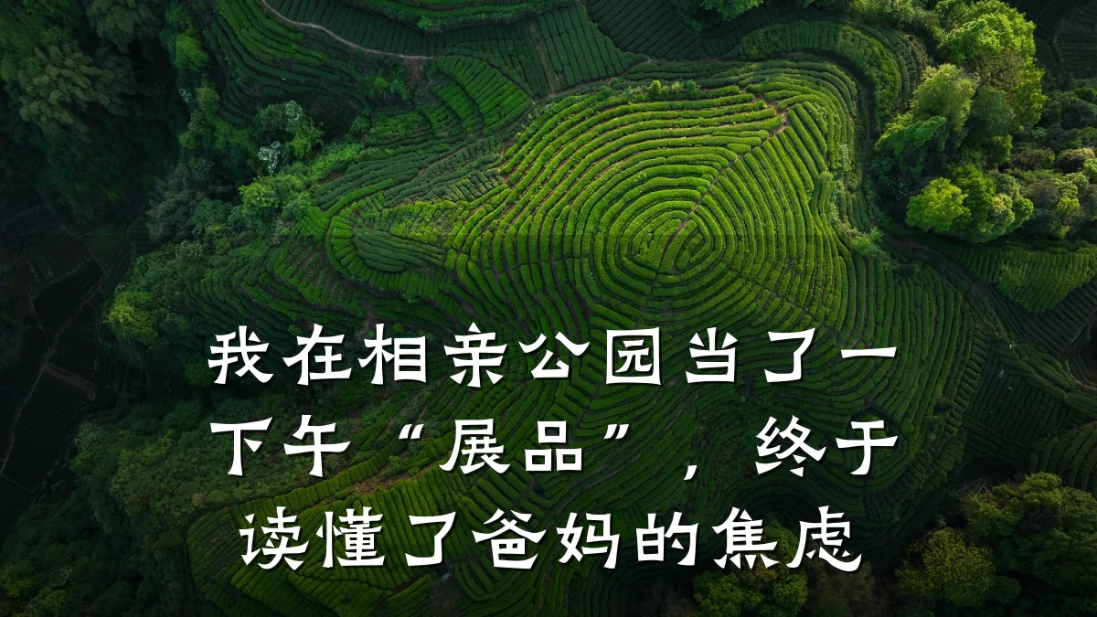 我在相亲公园当了一下午“展品”,终于读懂了爸妈的焦虑