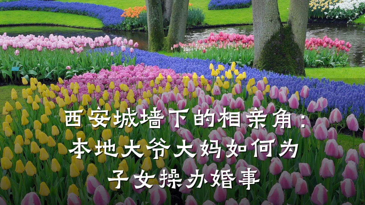 西安城墙下的相亲角:本地大爷大妈如何为子女操办婚事