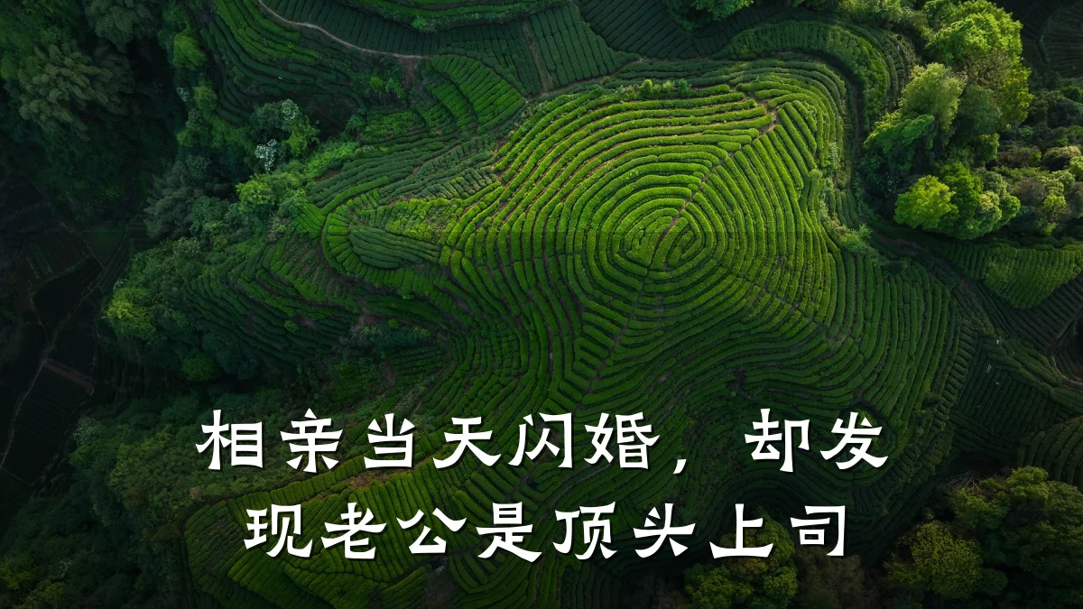 相亲当天闪婚,却发现老公是顶头上司