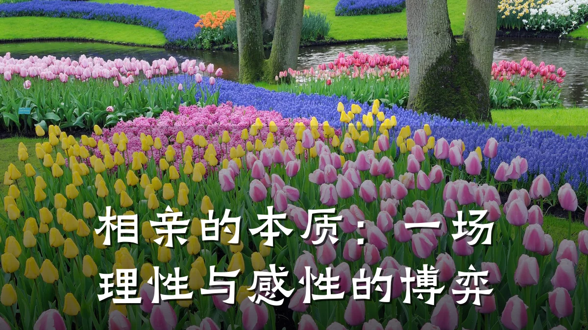 相亲的本质:一场理性与感性的博弈