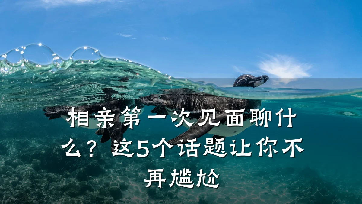 相亲第一次见面聊什么?这5个话题让你不再尴尬