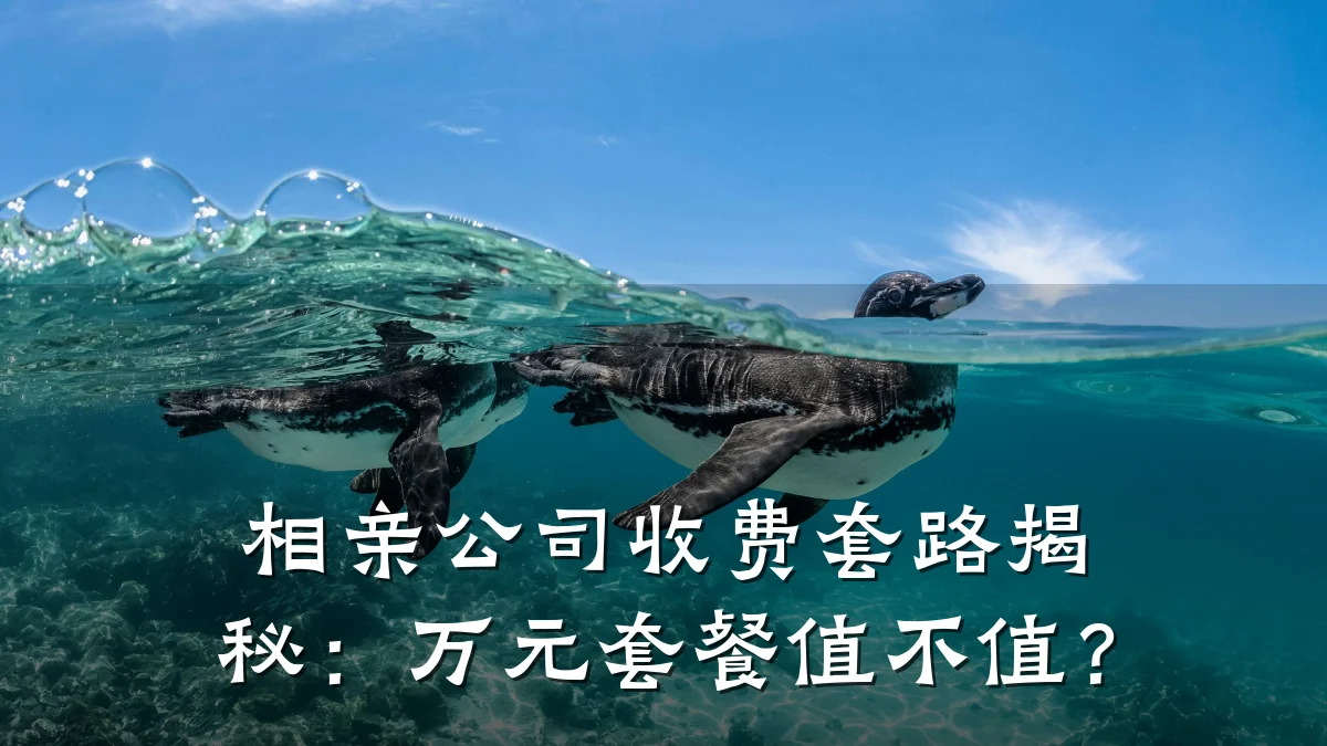相亲公司收费套路揭秘:万元套餐值不值?