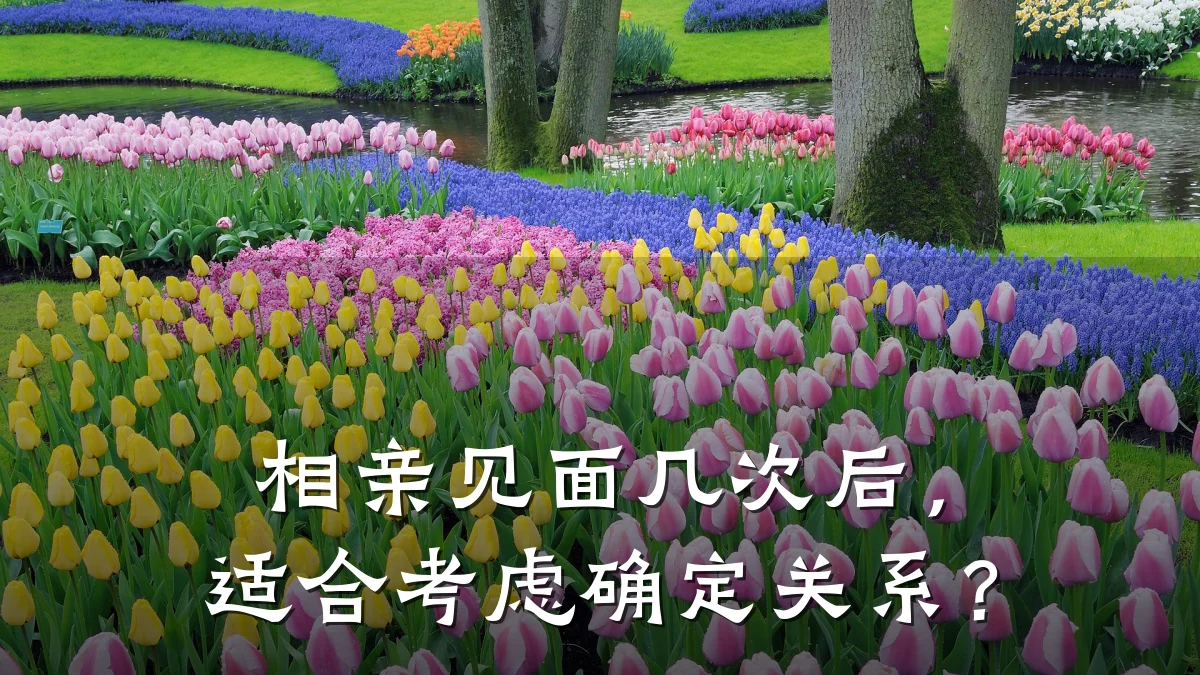 相亲见面几次后,适合考虑确定关系?
