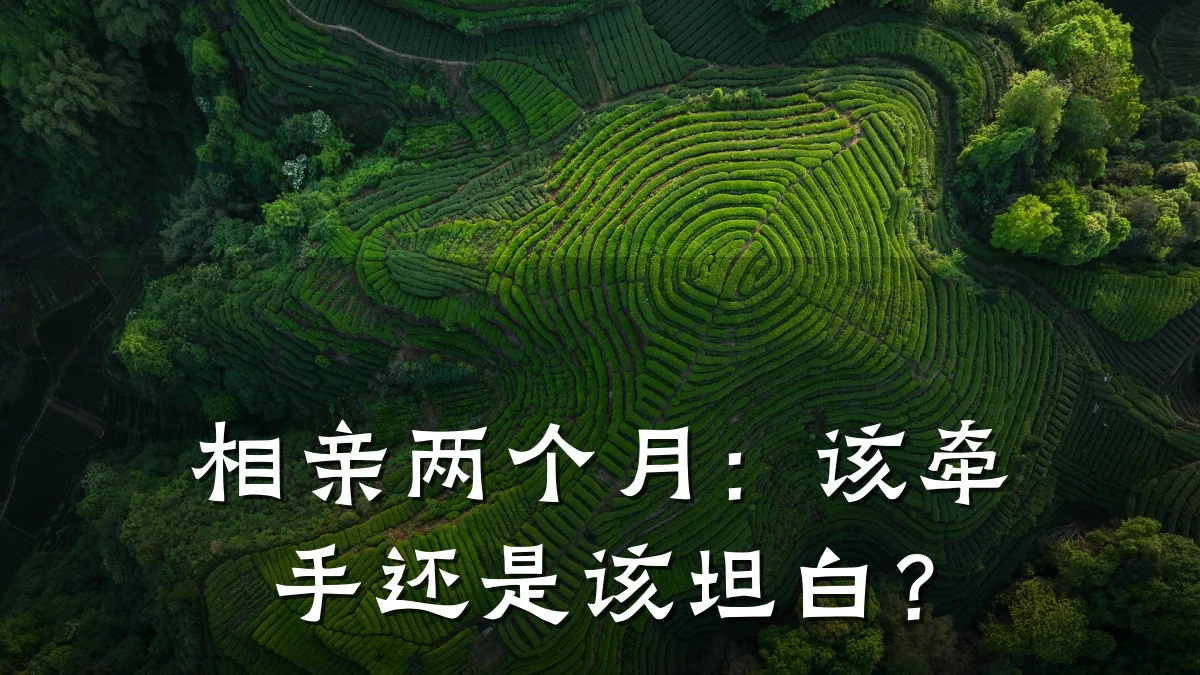 相亲两个月:该牵手还是该坦白?