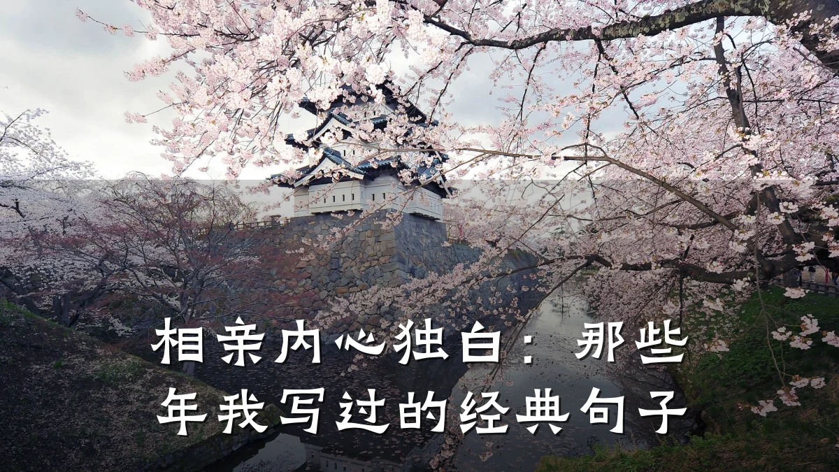 相亲内心独白:那些年我写过的经典句子