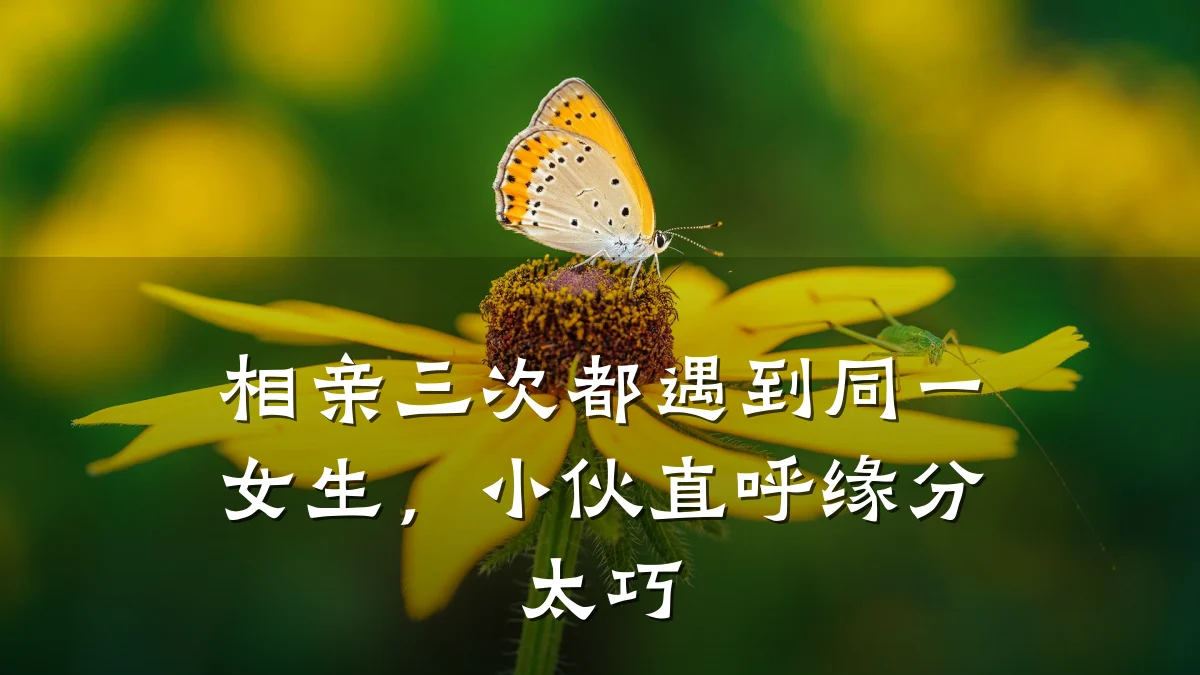 相亲三次都遇到同一女生,小伙直呼缘分太巧