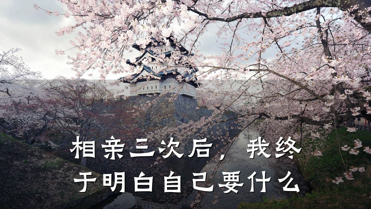 相亲三次后,我终于明白自己要什么