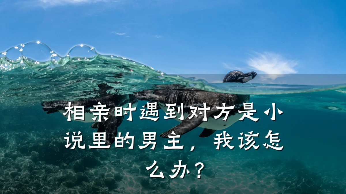 相亲时遇到对方是小说里的男主,我该怎么办?