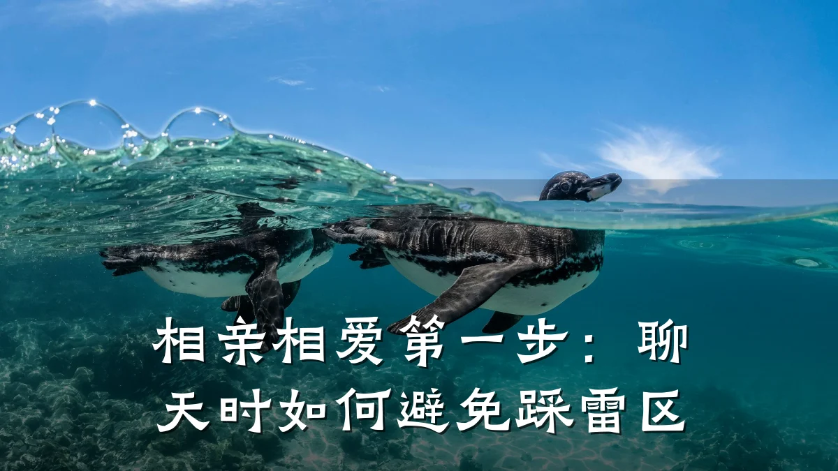 相亲相爱第一步:聊天时如何避免踩雷区