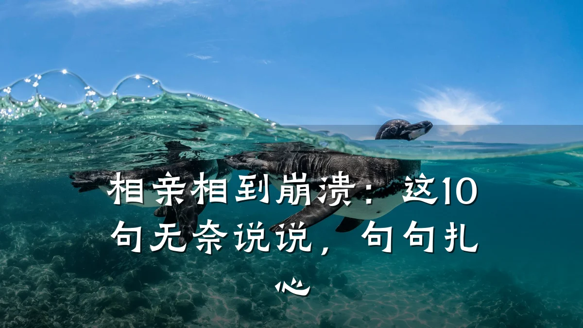 相亲相到崩溃:这10句无奈说说,句句扎心
