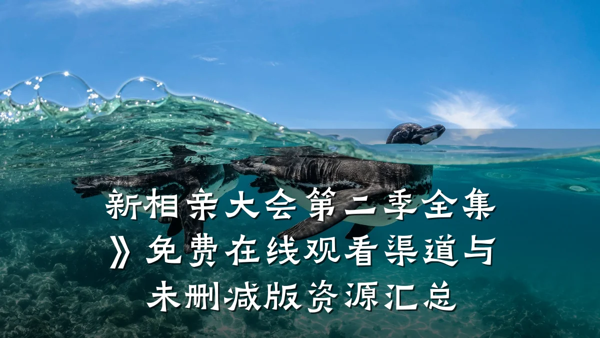新相亲大会第二季全集》免费在线观看渠道与未删减版资源汇总