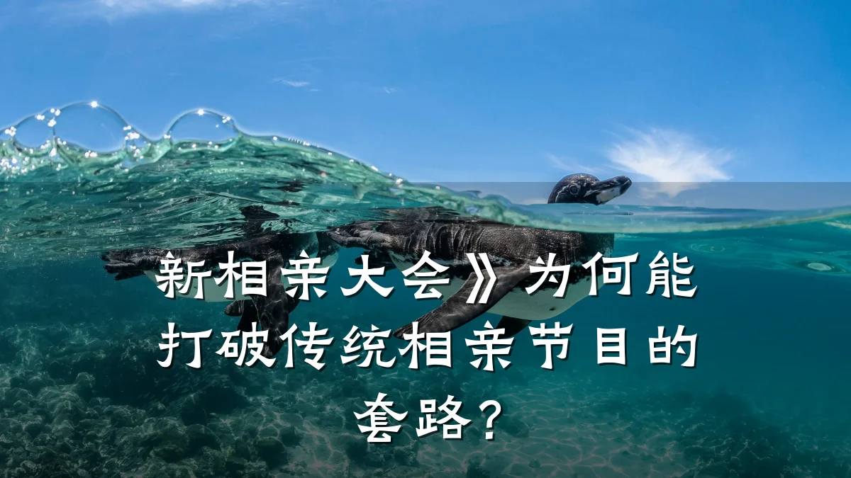 新相亲大会》为何能打破传统相亲节目的套路?