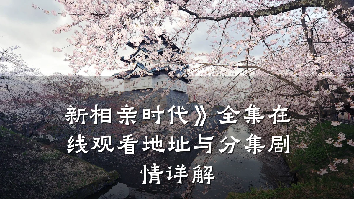 新相亲时代》全集在线观看地址与分集剧情详解