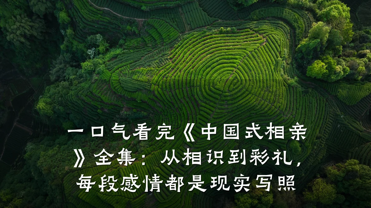 一口气看完《中国式相亲》全集:从相识到彩礼,每段感情都是现实写照