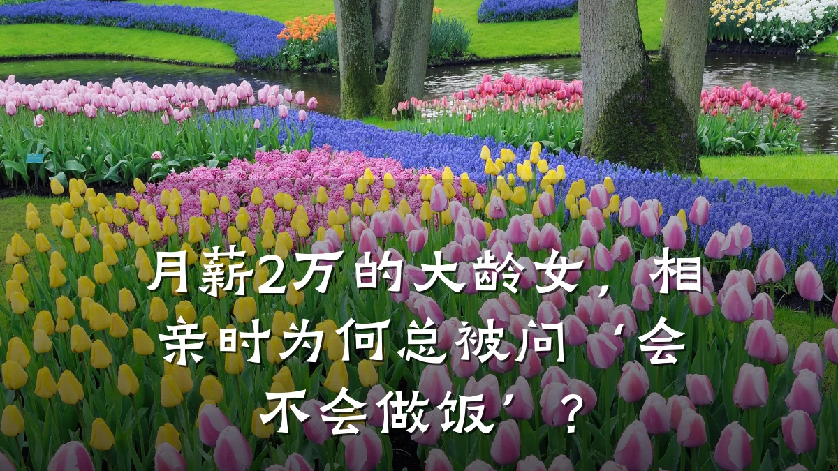 月薪2万的大龄女,相亲时为何总被问‘会不会做饭’?