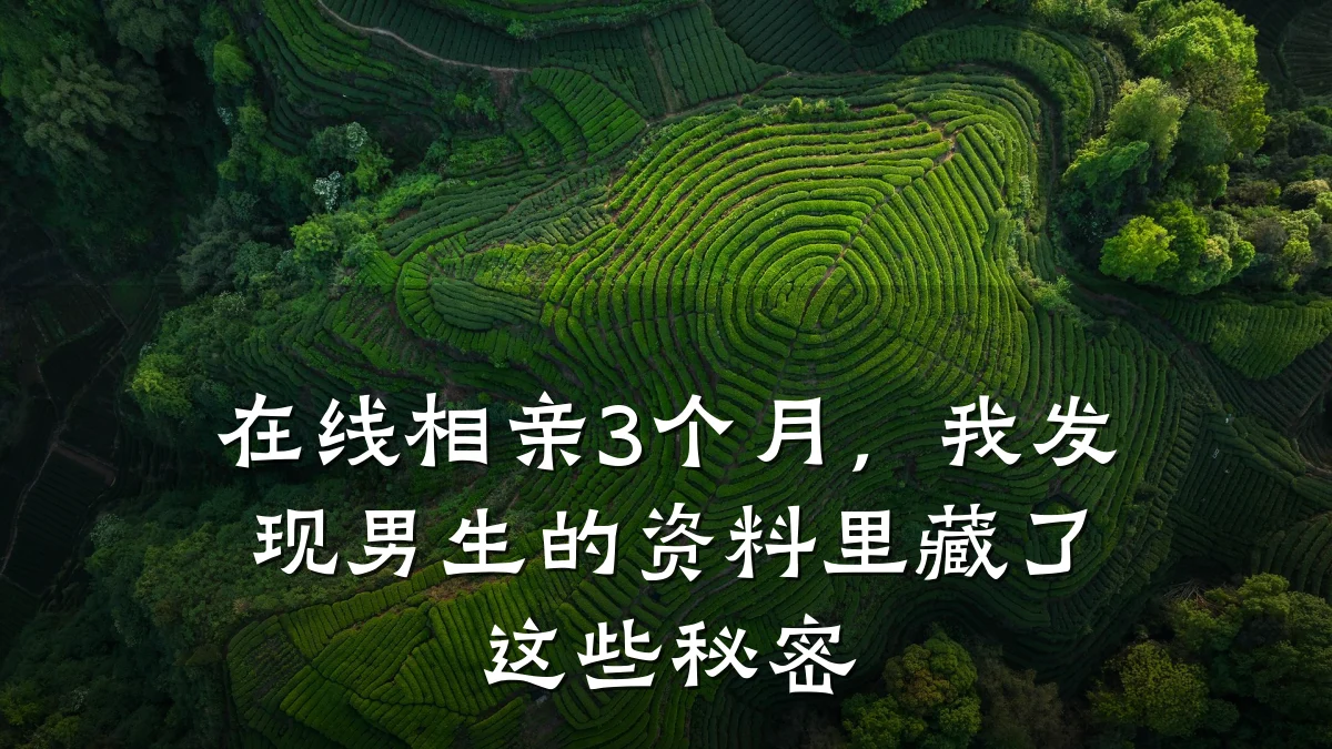 在线相亲3个月,我发现男生的资料里藏了这些秘密