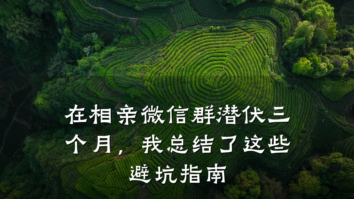 在相亲微信群潜伏三个月,我总结了这些避坑指南