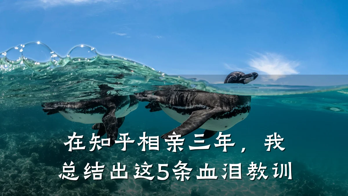 在知乎相亲三年,我总结出这5条血泪教训