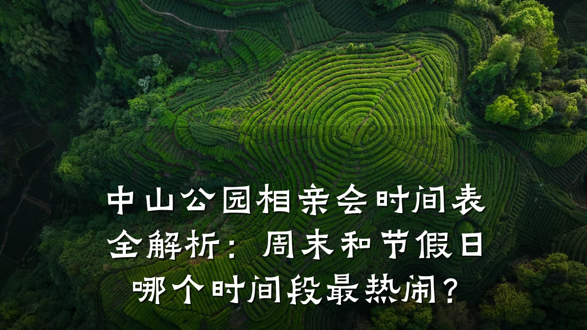 中山公园相亲会时间表全解析:周末和节假日哪个时间段最热闹?