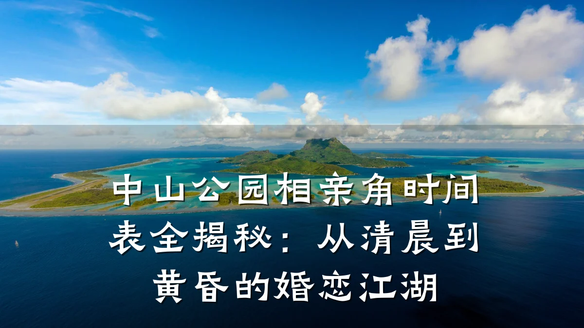 中山公园相亲角时间表全揭秘:从清晨到黄昏的婚恋江湖