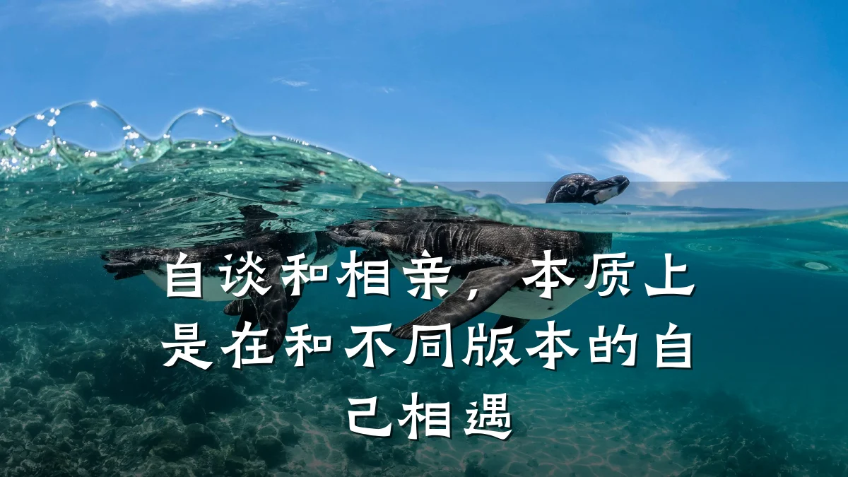 自谈和相亲,本质上是在和不同版本的自己相遇