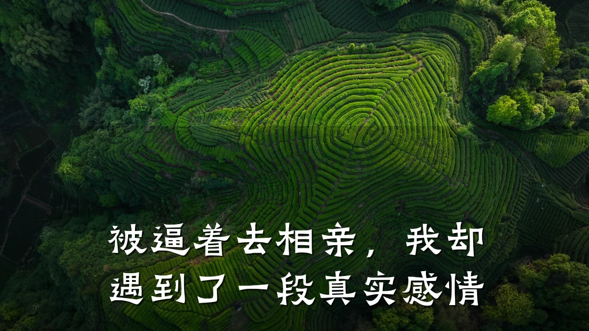 被逼着去相亲,我却遇到了一段真实感情
