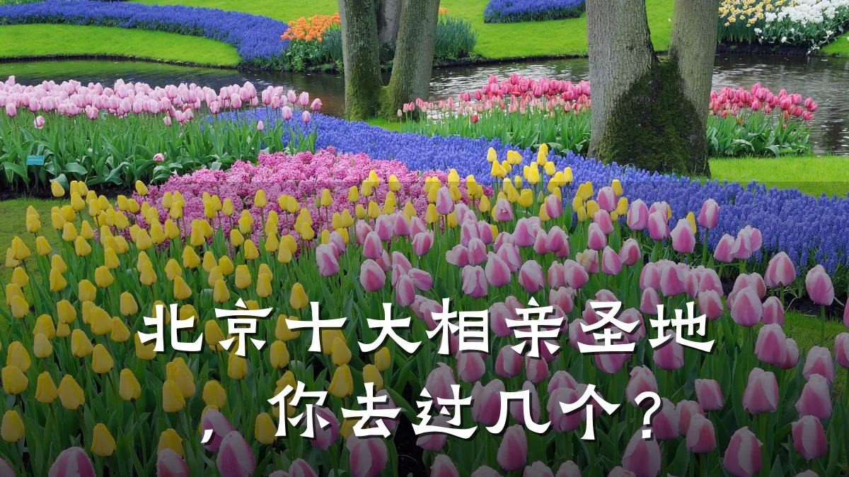 北京十大相亲圣地,你去过几个?