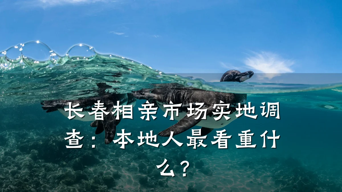 长春相亲市场实地调查:本地人最看重什么?