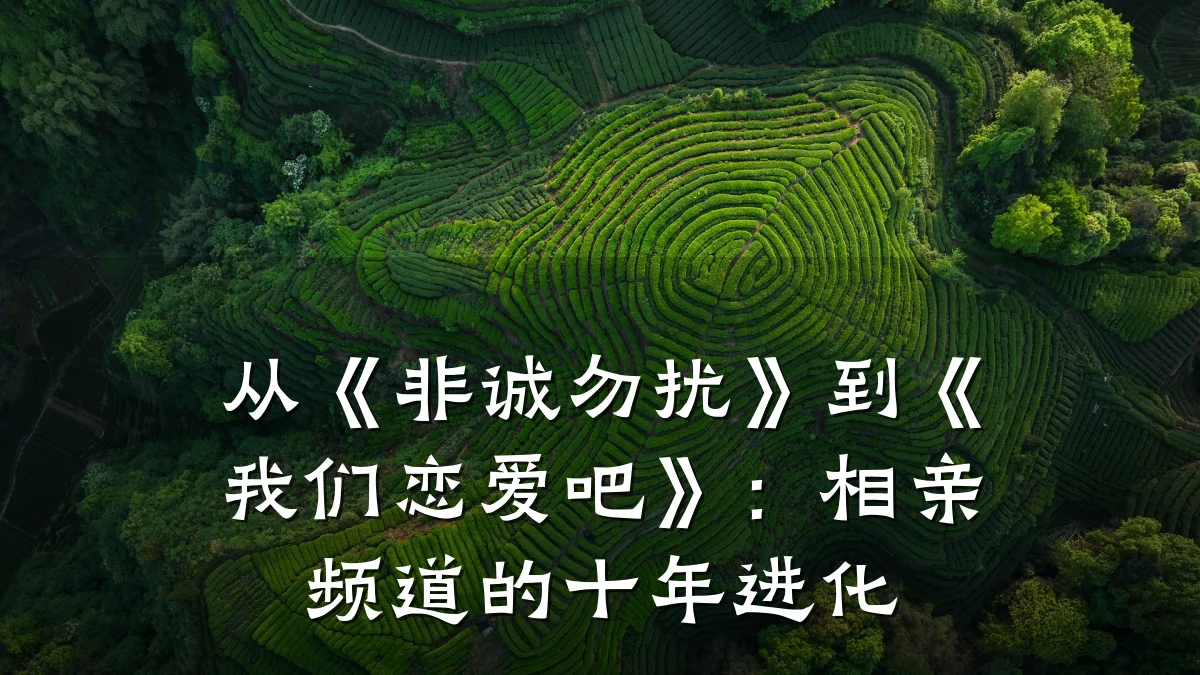 从《非诚勿扰》到《我们恋爱吧》:相亲频道的十年进化