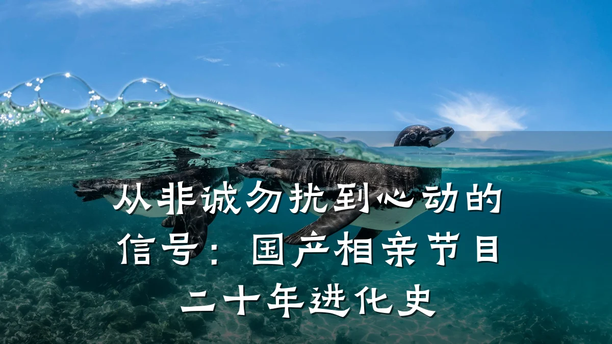 从非诚勿扰到心动的信号:国产相亲节目二十年进化史