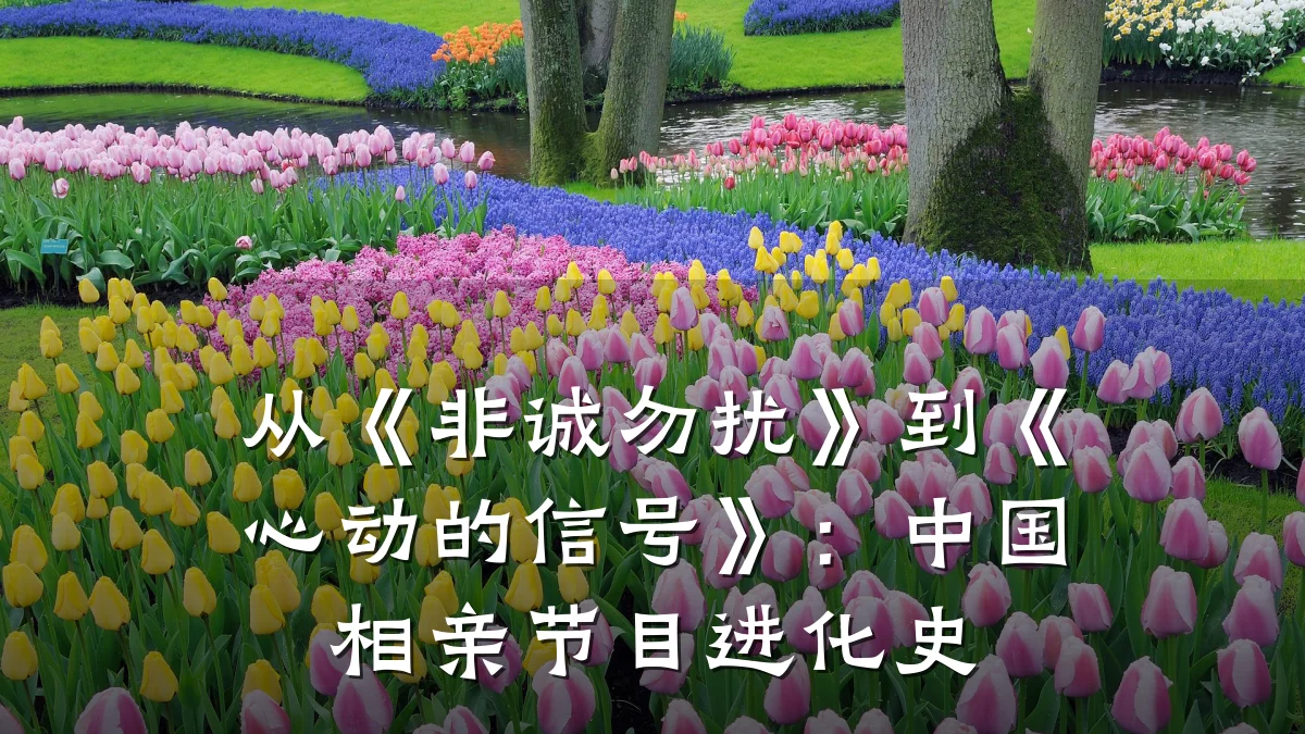 从《非诚勿扰》到《心动的信号》:中国相亲节目进化史