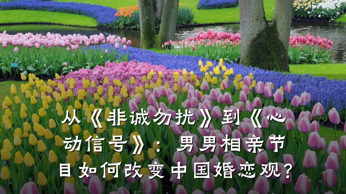 从《非诚勿扰》到《心动信号》:男男相亲节目如何改变中国婚恋观?