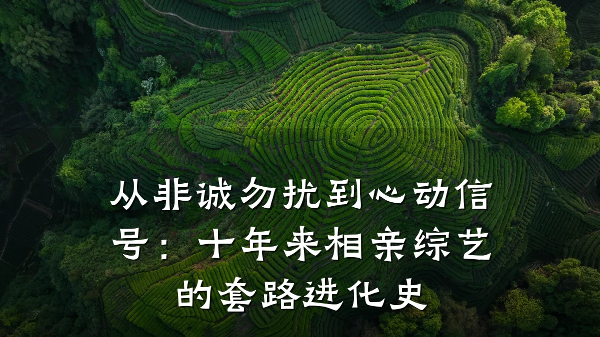 从非诚勿扰到心动信号:十年来相亲综艺的套路进化史