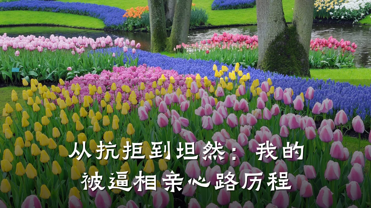从抗拒到坦然:我的被逼相亲心路历程