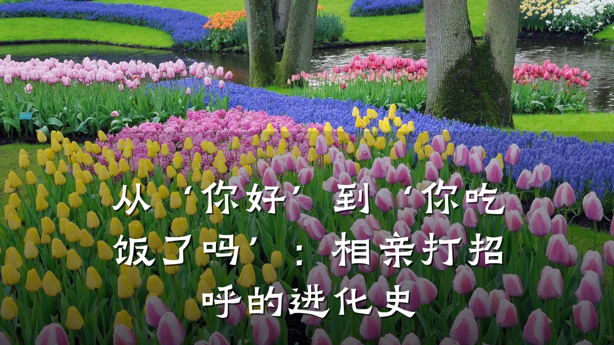 从‘你好’到‘你吃饭了吗’:相亲打招呼的进化史