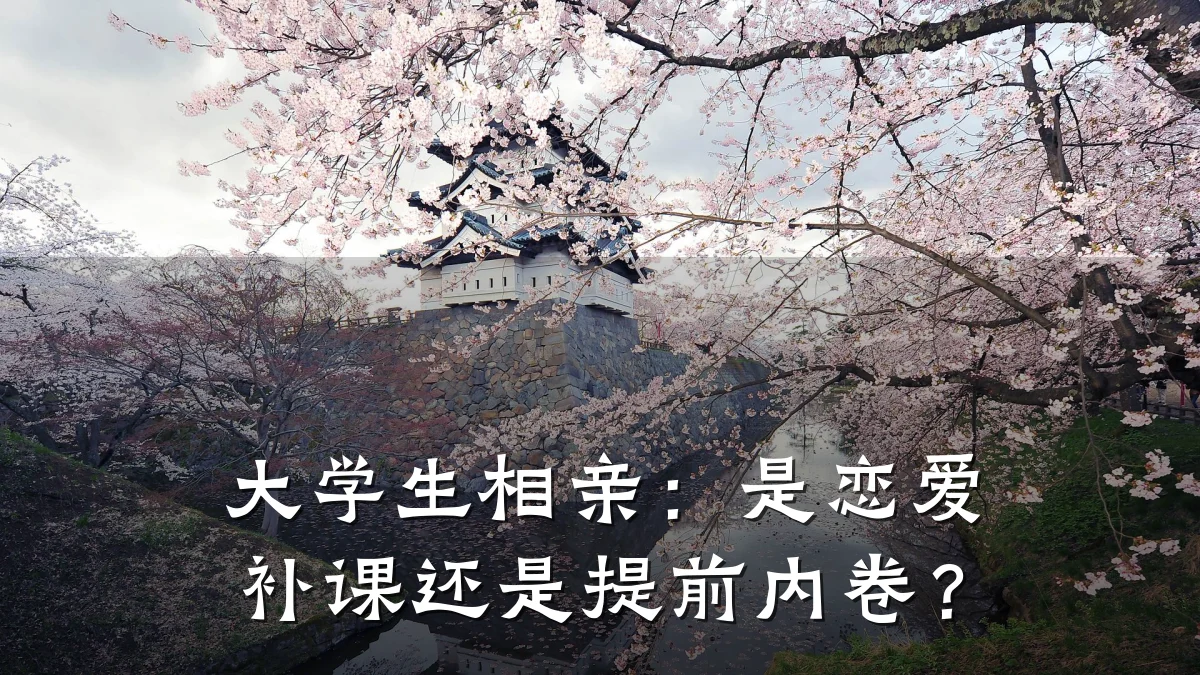 大学生相亲:是恋爱补课还是提前内卷?