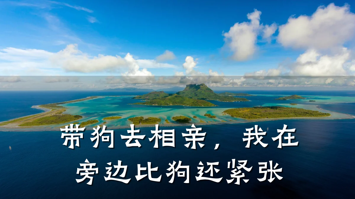 带狗去相亲,我在旁边比狗还紧张
