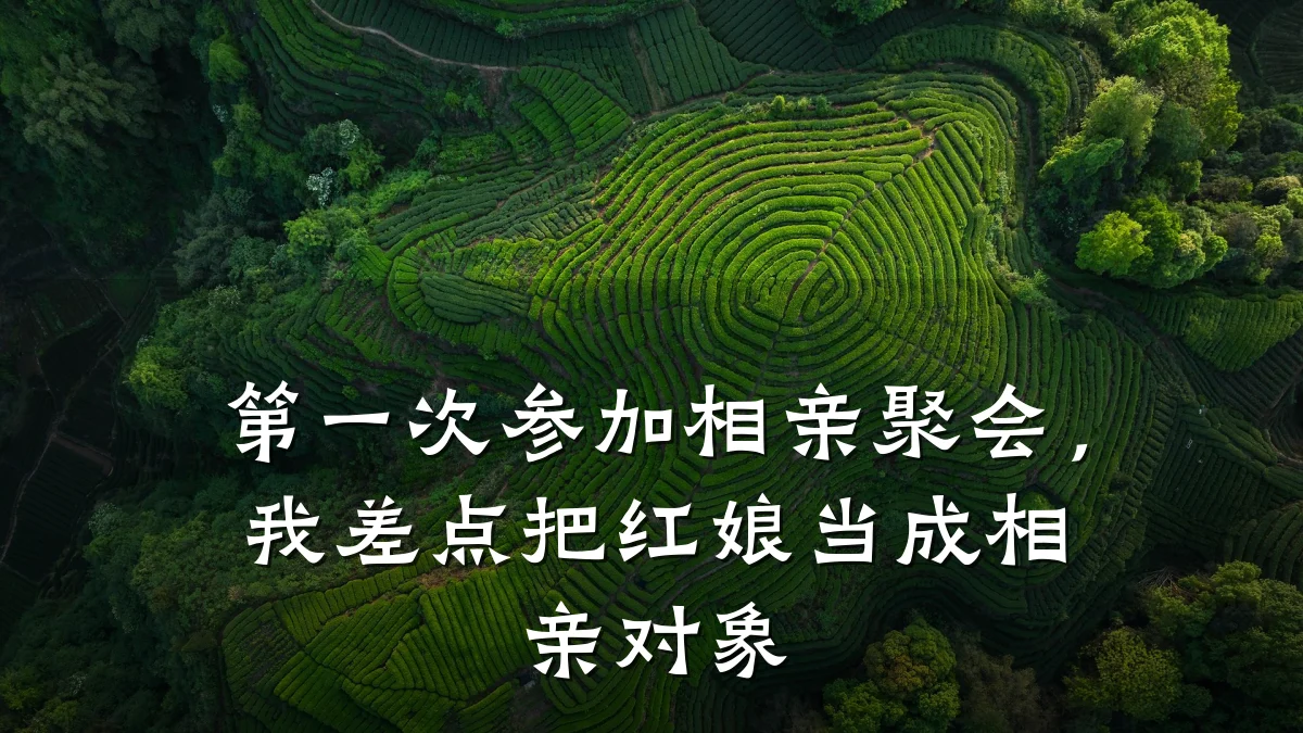 第一次参加相亲聚会,我差点把红娘当成相亲对象