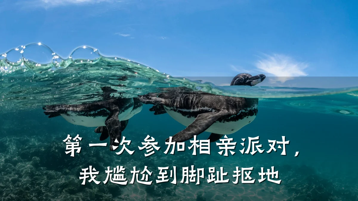 第一次参加相亲派对,我尴尬到脚趾抠地
