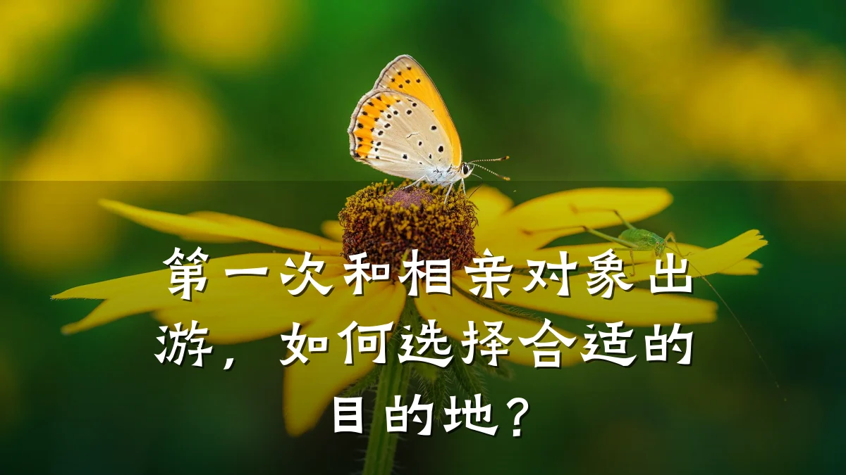 第一次和相亲对象出游,如何选择合适的目的地?