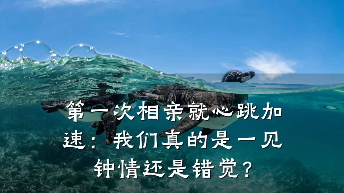 第一次相亲就心跳加速:我们真的是一见钟情还是错觉?