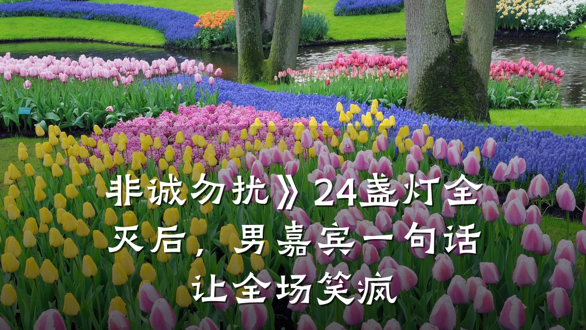 非诚勿扰》24盏灯全灭后,男嘉宾一句话让全场笑疯