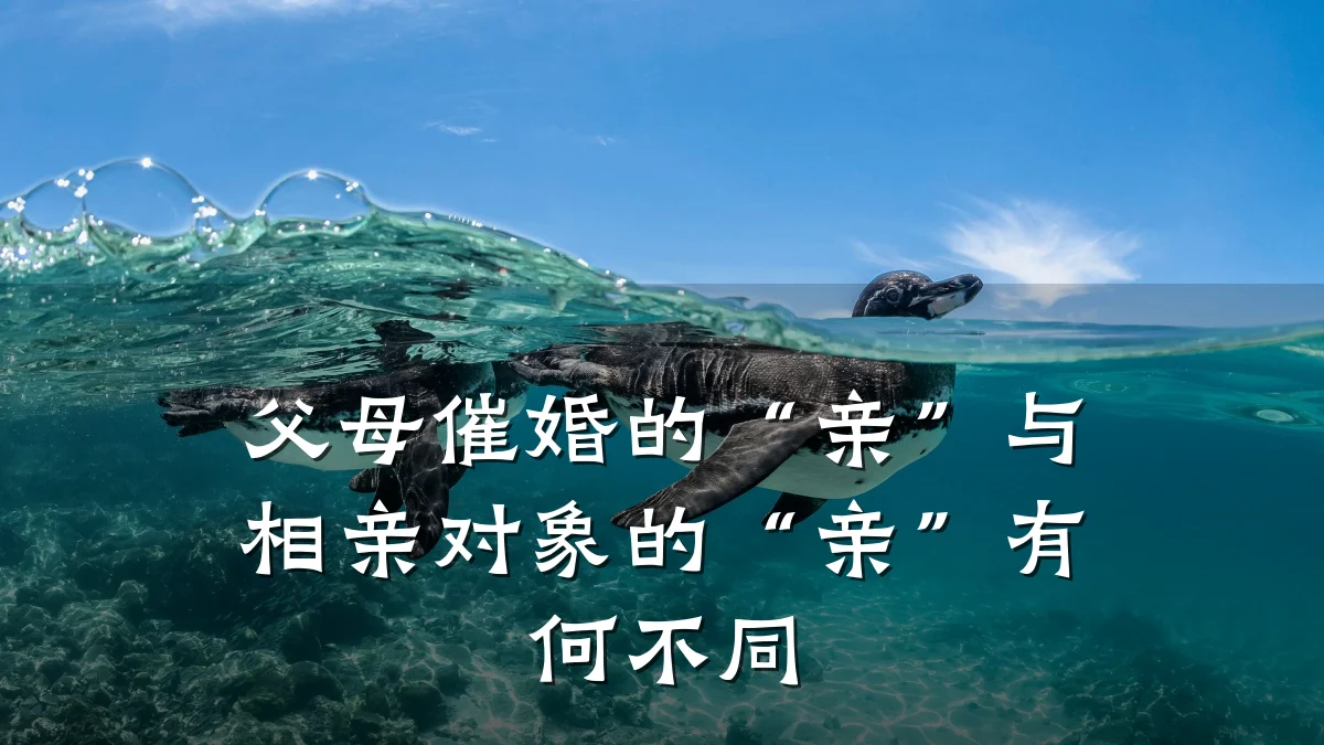 父母催婚的“亲”与相亲对象的“亲”有何不同