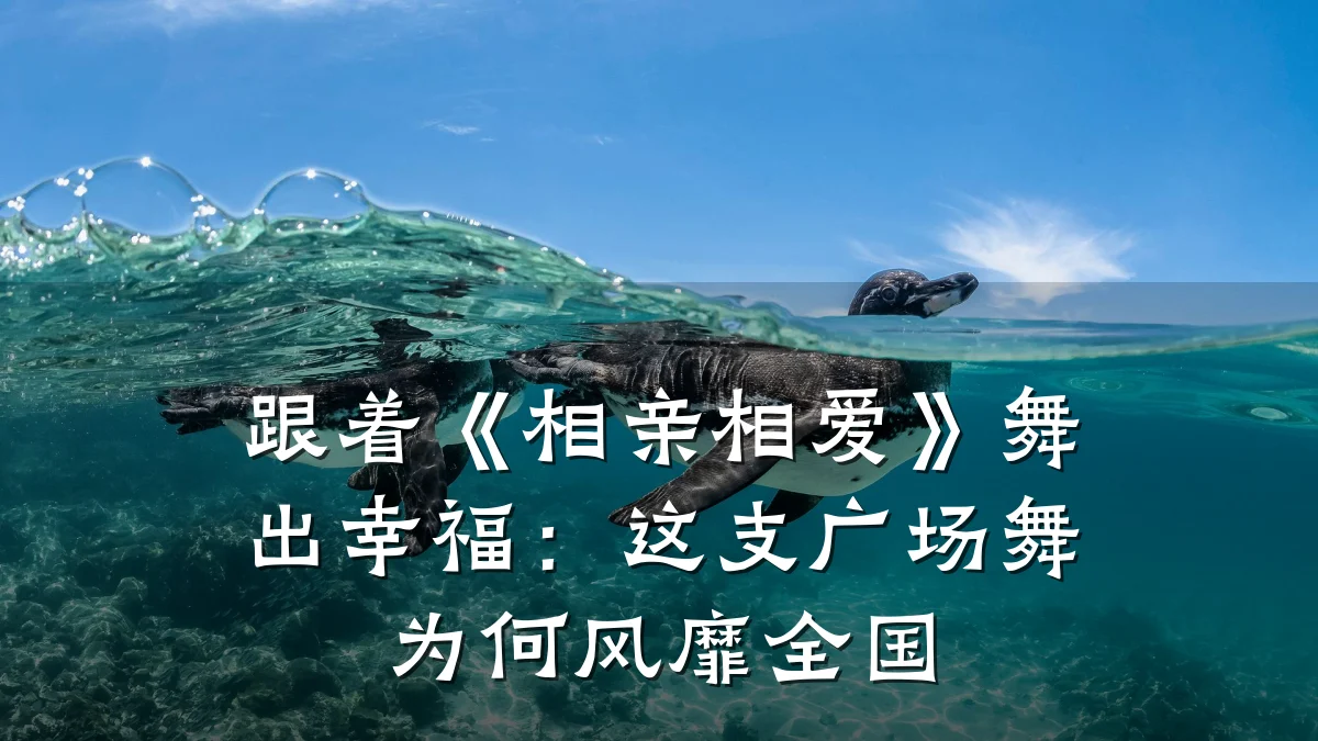 跟着《相亲相爱》舞出幸福:这支广场舞为何风靡全国