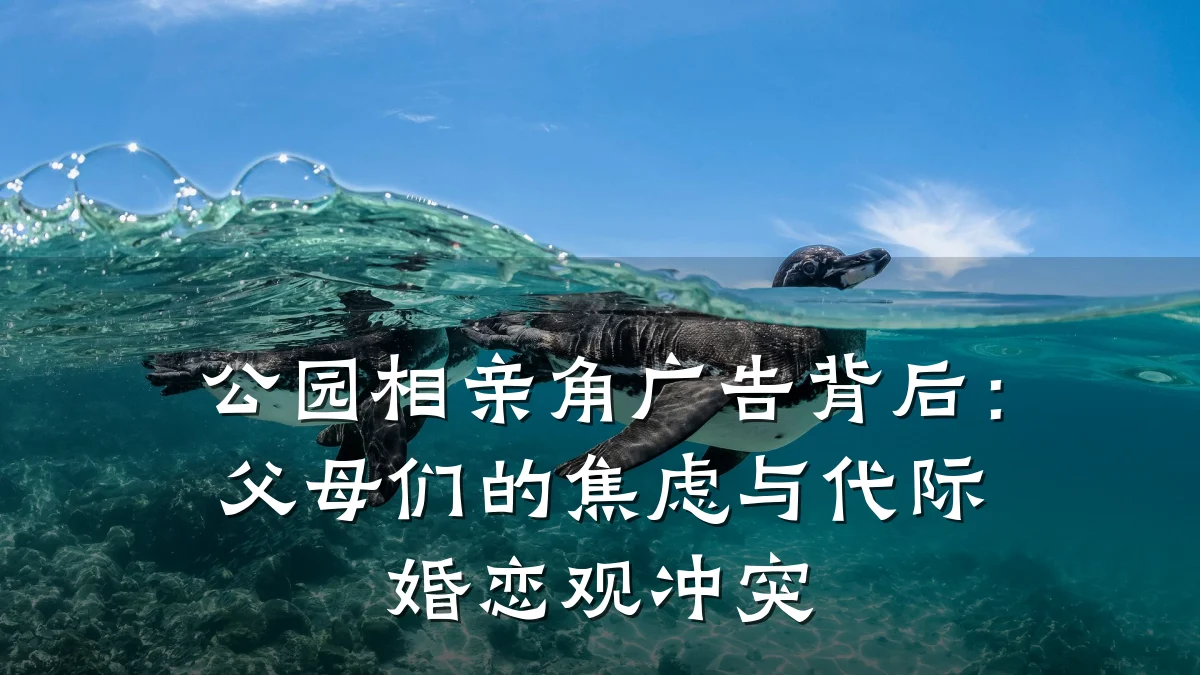 公园相亲角广告背后:父母们的焦虑与代际婚恋观冲突