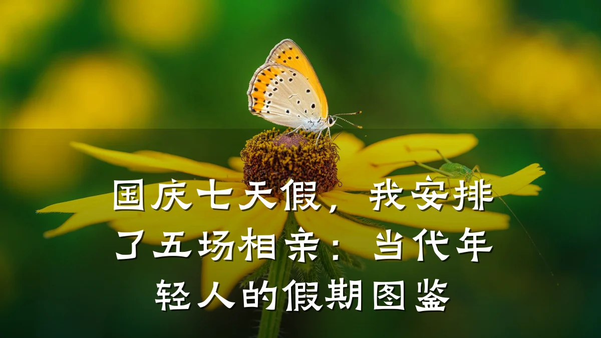 国庆七天假,我安排了五场相亲:当代年轻人的假期图鉴