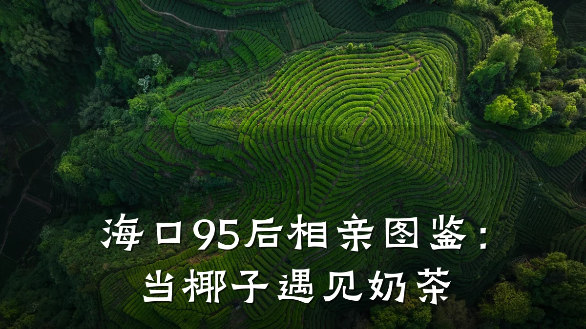 海口95后相亲图鉴:当椰子遇见奶茶