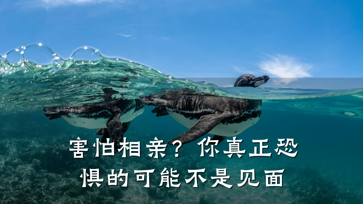 害怕相亲?你真正恐惧的可能不是见面